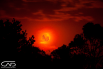 Fiery Red Full Moon shot at base of Mt Dandenong Victoria Australia