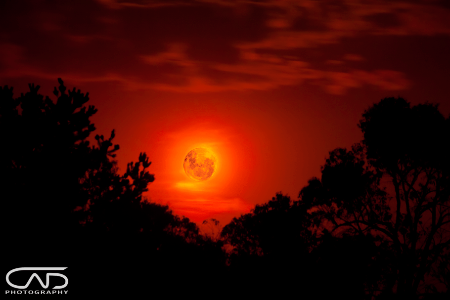 Fiery Red Full Moon shot at base of Mt Dandenong Victoria Australia
