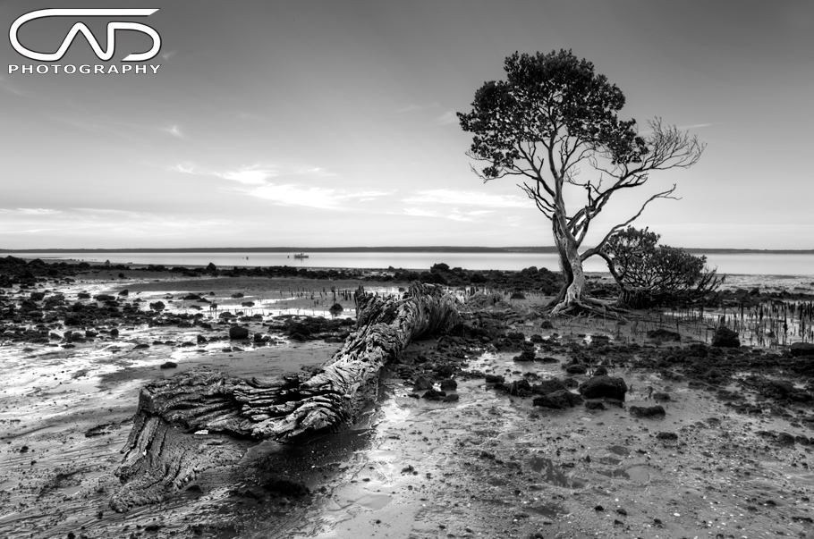 Tenby Point, Gippsland, Victoria, Australia near Phillip island black and white sunset.
